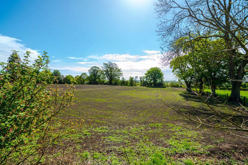 Grounds