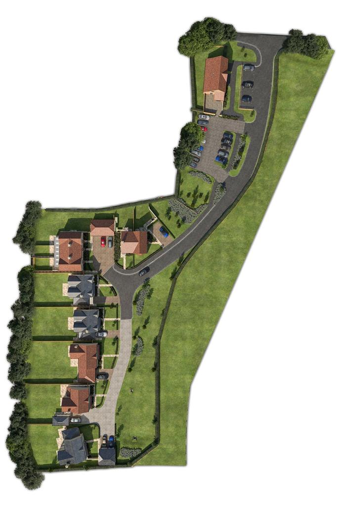 Site Layout