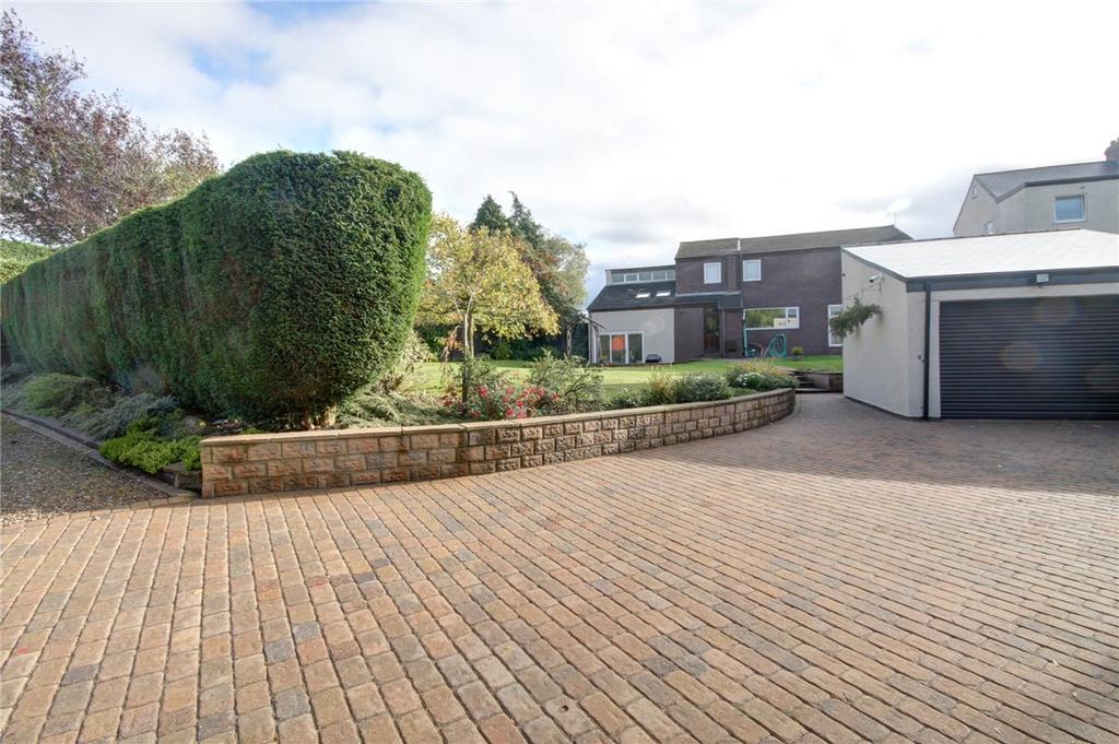 Driveway and Garage