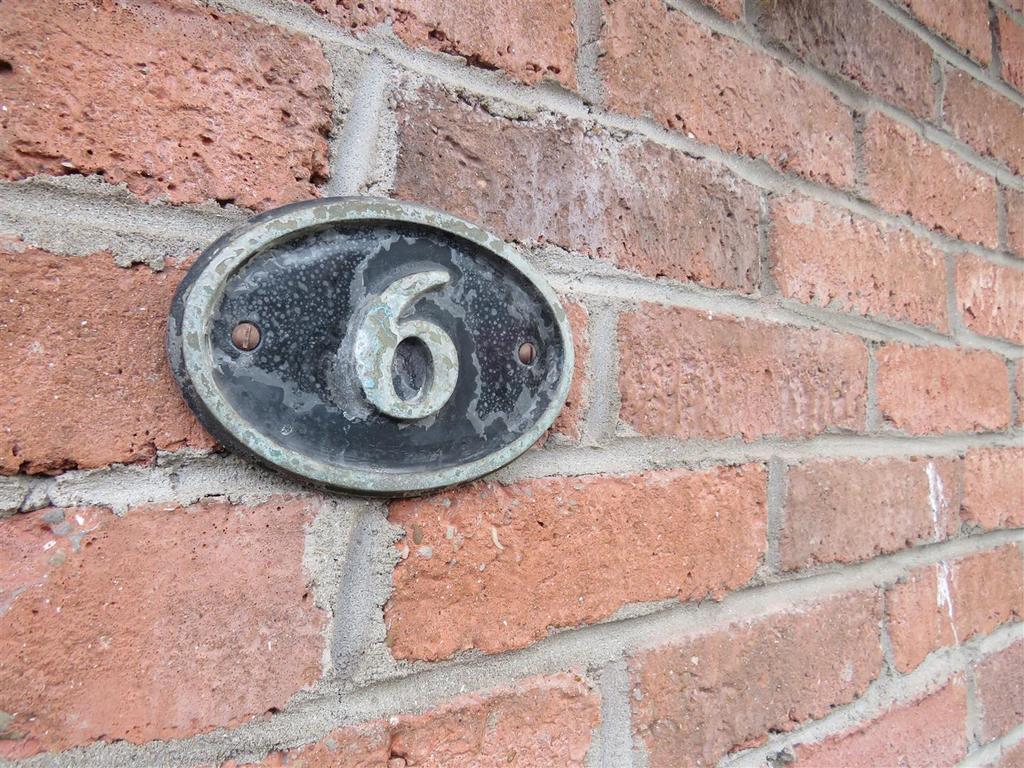 Img 9117.jpg