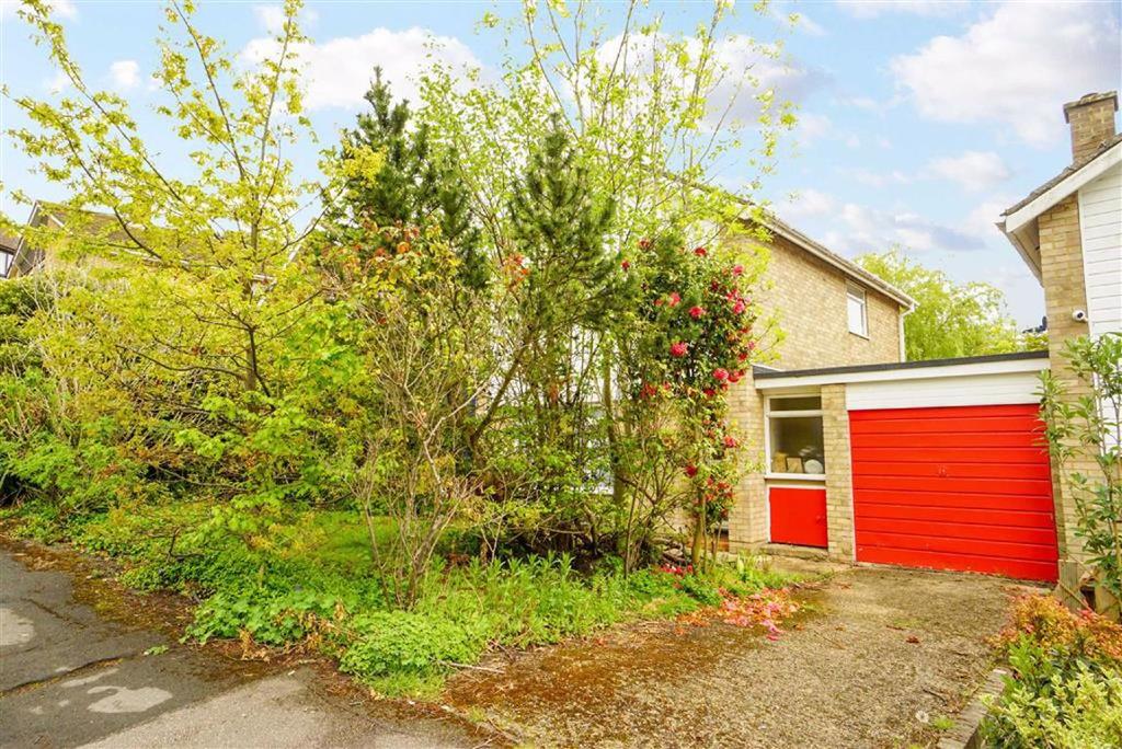 Baird Drive, Hastings, East Sussex 3 bed link detached house £325,000