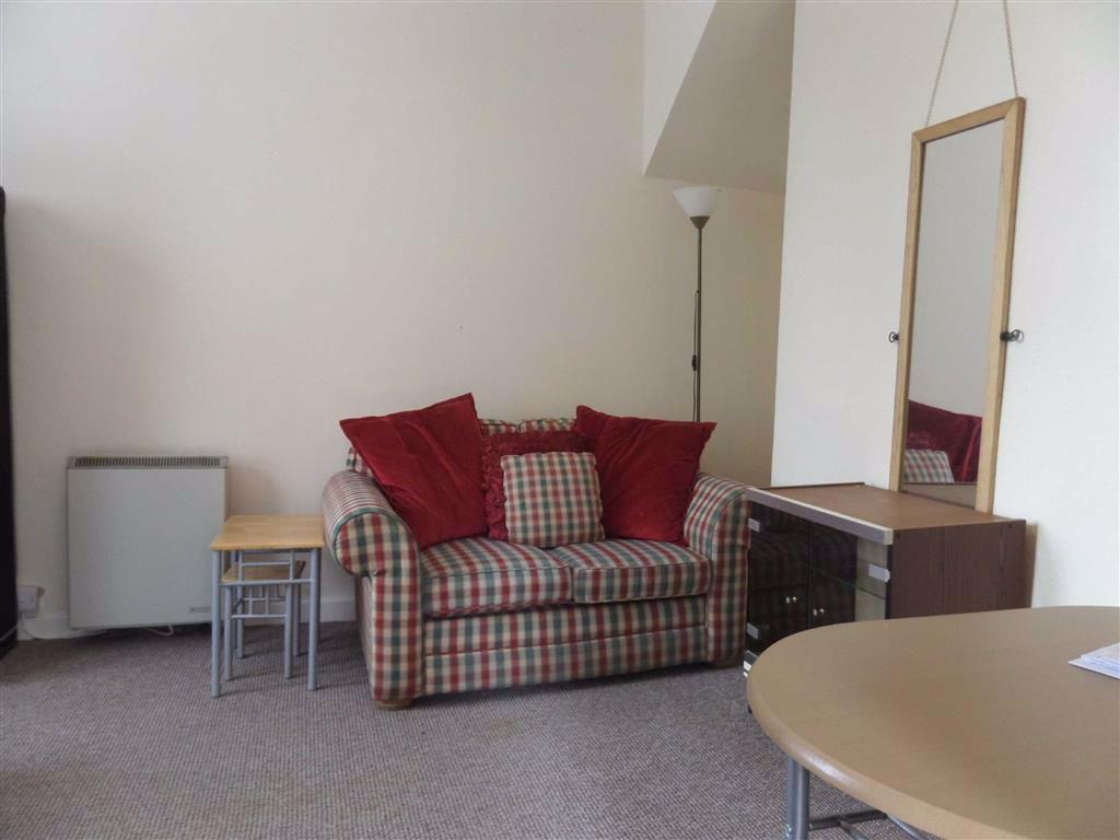 Elm Tree Avenue, Aberystwyth, SY23 1 bed flat £430 pcm (£99 pw)