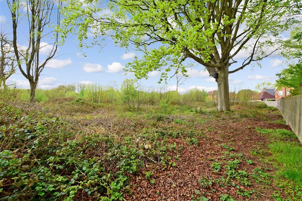 Surrounding Area
