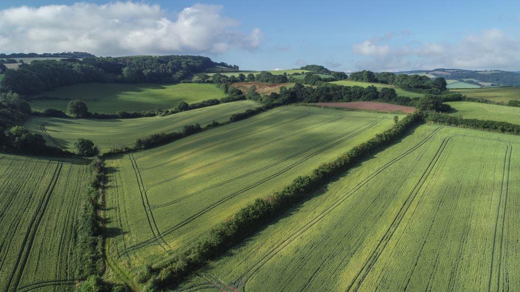 Roadwater, Watchet Land £245,000