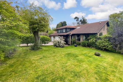 4 Brancepeth Chare, Peterlee, SR8 1LU