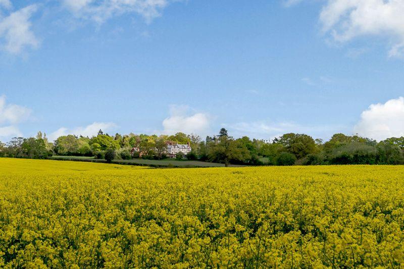 Field View