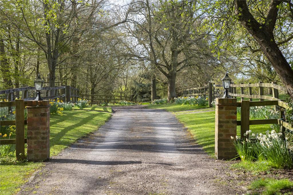 Driveway