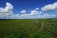 DSC06537a.jpg