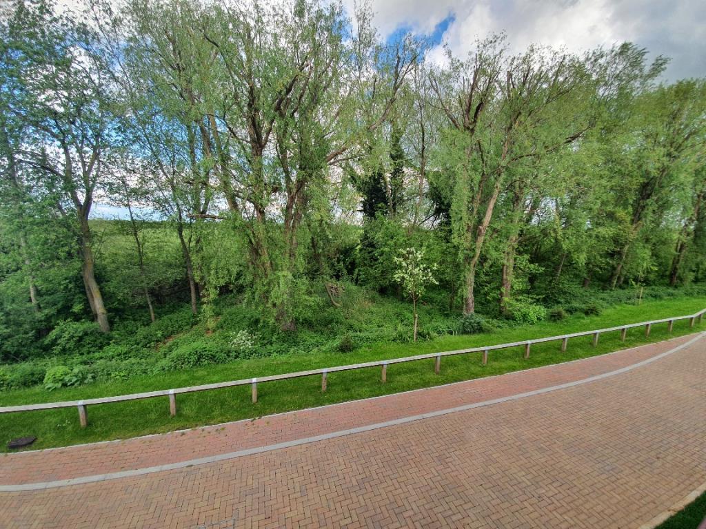 View to Front of Property