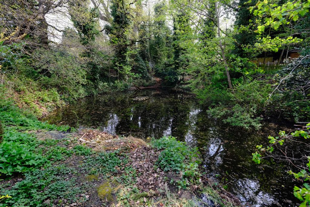 Pond On Land To Rear Of Property