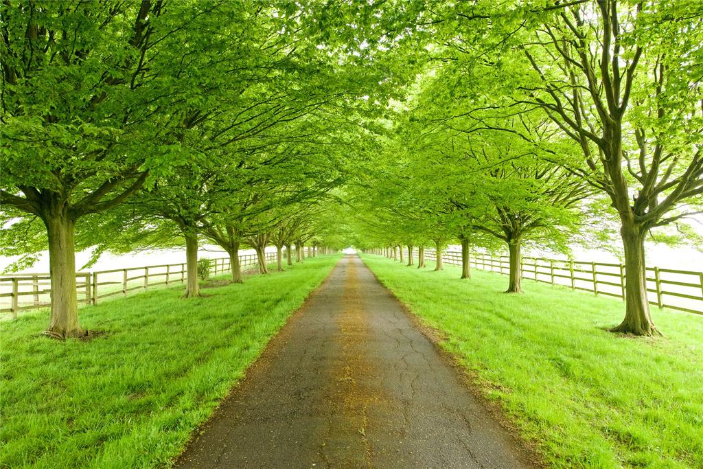 Driveway