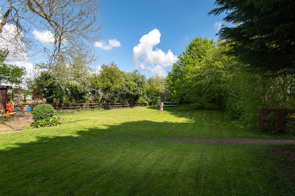 Garden at Back