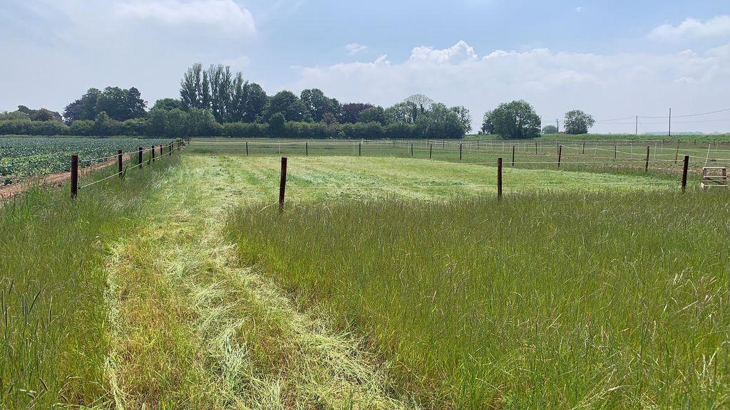 Land available to rent