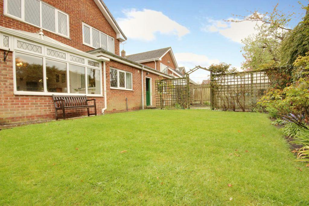 Garden at Back