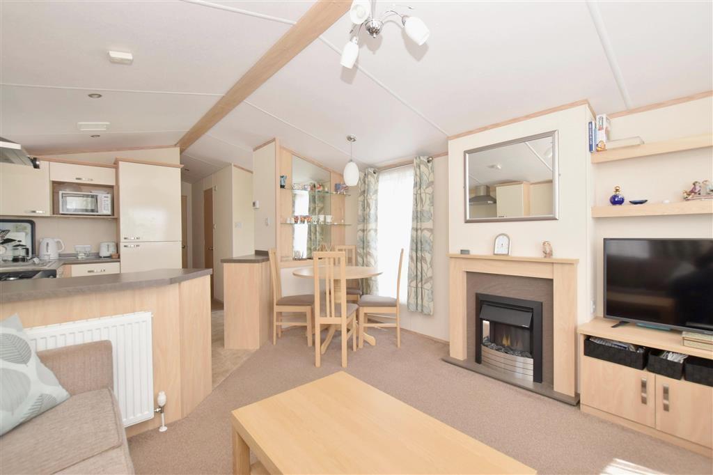 Living Room/Kitchen Area