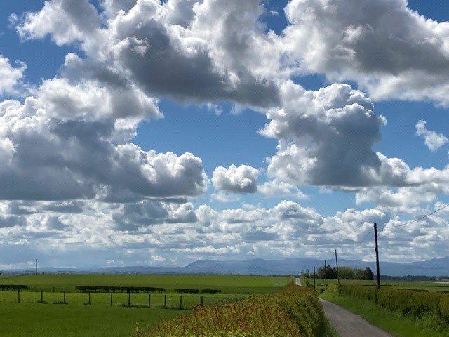 Road With Views