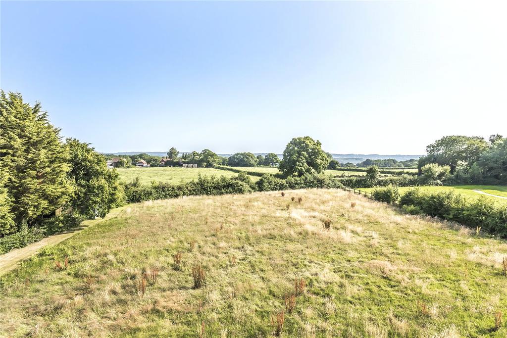 Grounds
