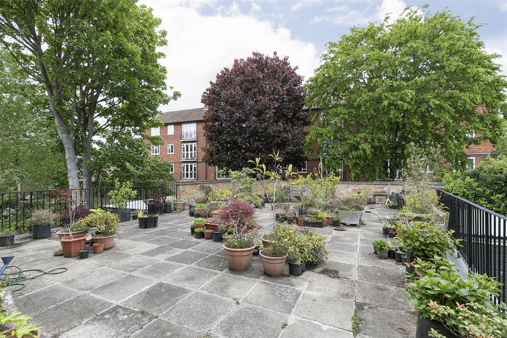 Communal Terrace