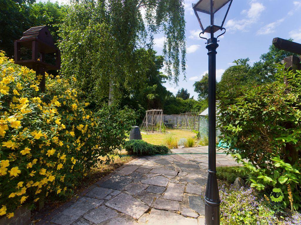 Garden at Back