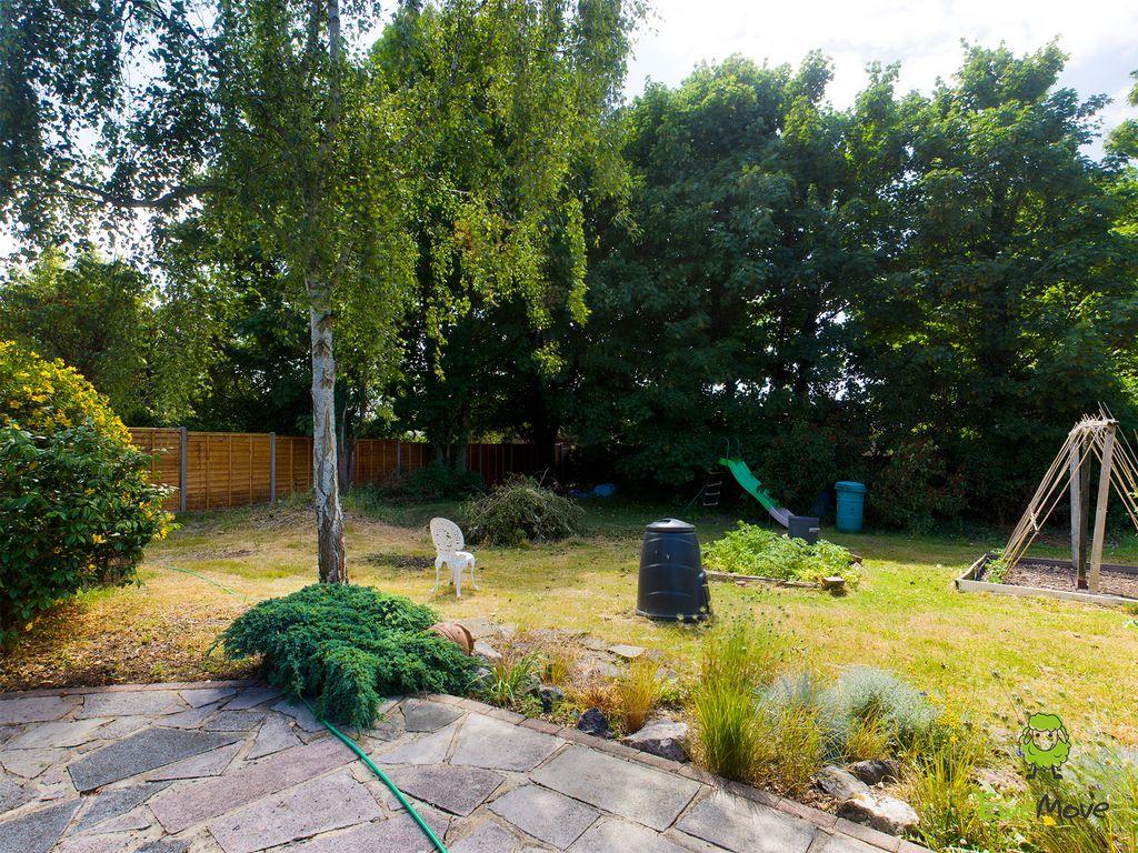 Garden at Back