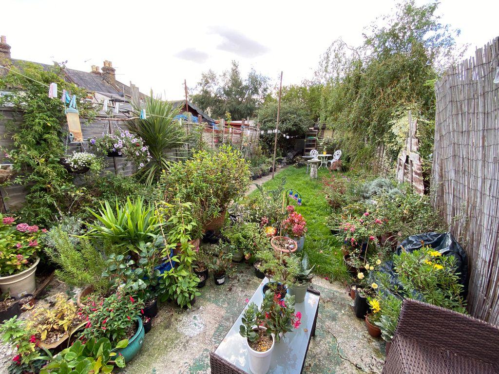 Garden at Back