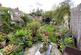 Garden at Back
