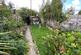 Garden at Back