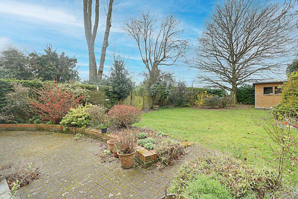 Garden at Back