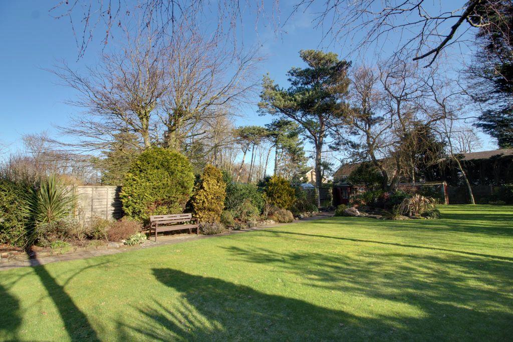 Garden at Back