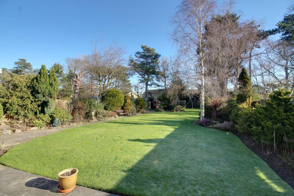 Garden at Back