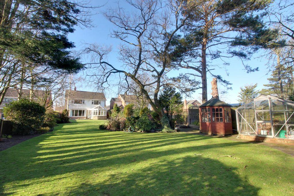 Garden at Back