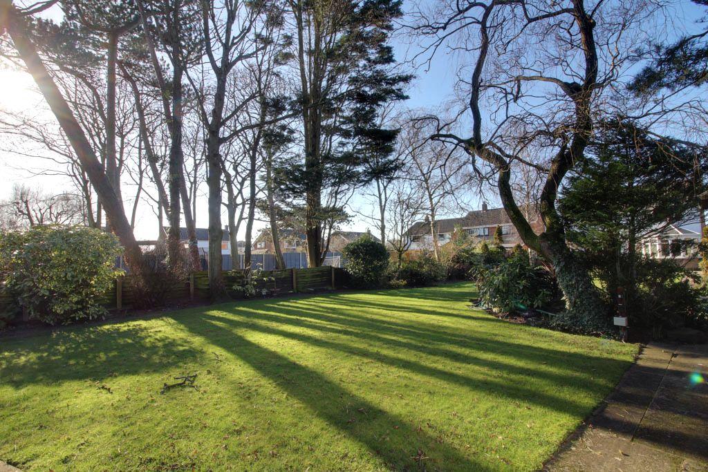 Garden at Back