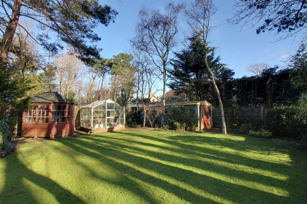 Garden at Back
