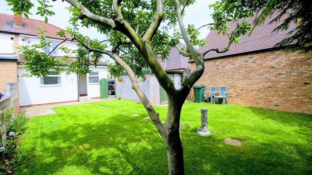 Garden at Back