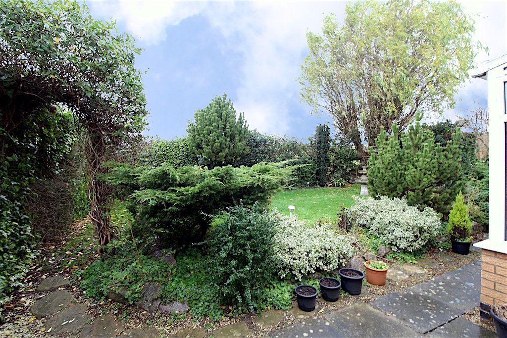Garden at Back