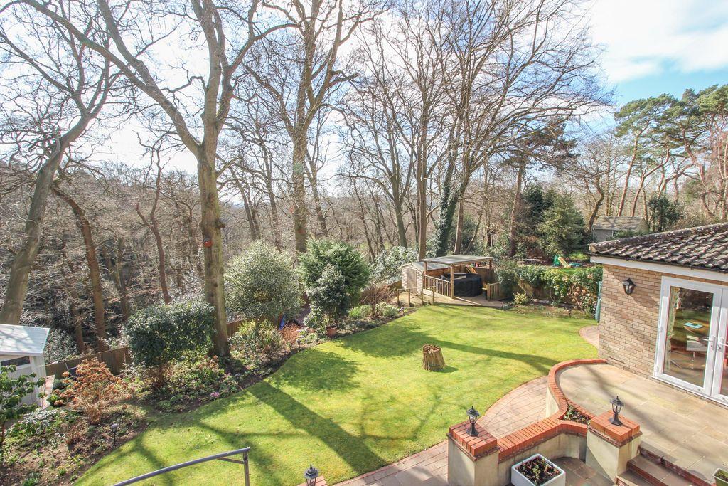Garden at Back