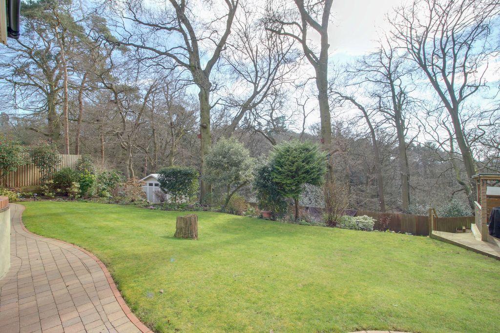 Garden at Back