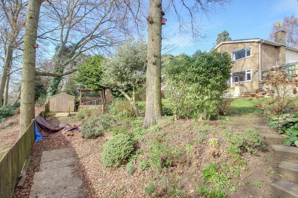 Garden at Back