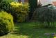 Garden at Back
