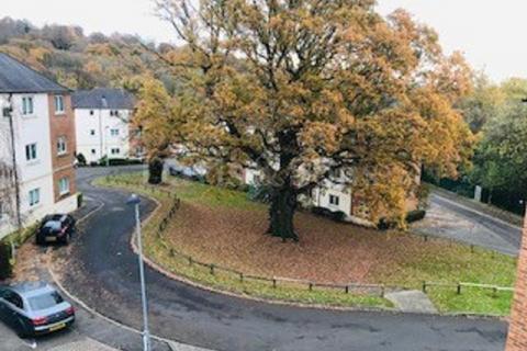 2 bedroom flat to rent, LLWYD COED HOUSE , GOLDEN MILE VIEW, Newport. NP20 3PH