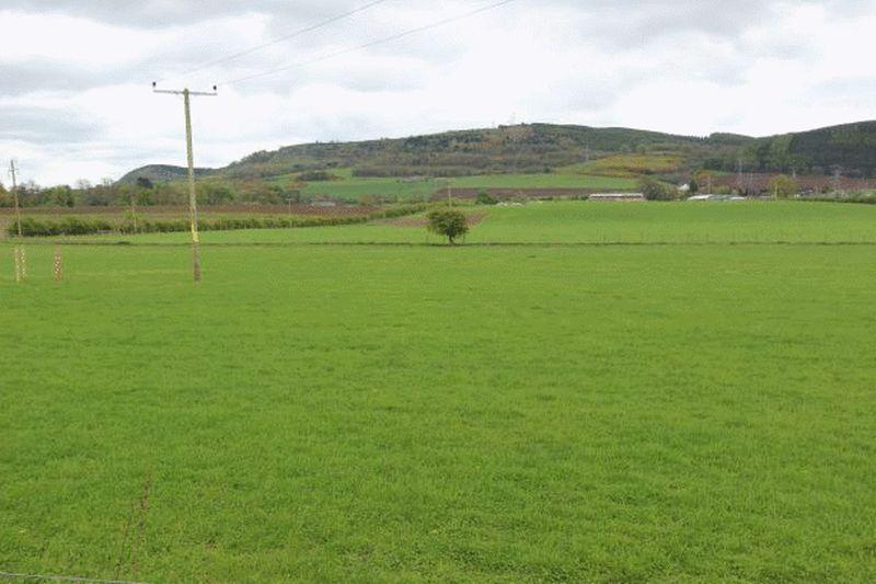 Views to the south