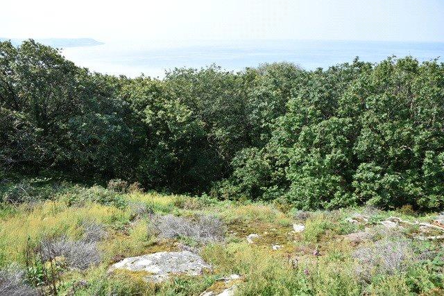 Picture No. 10