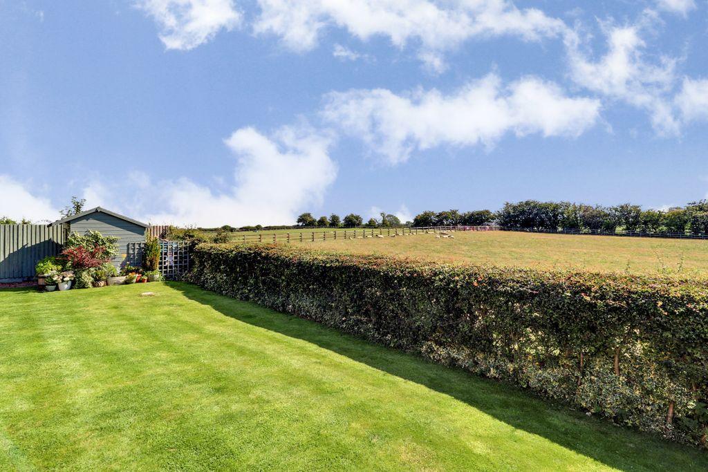 Garden at Back