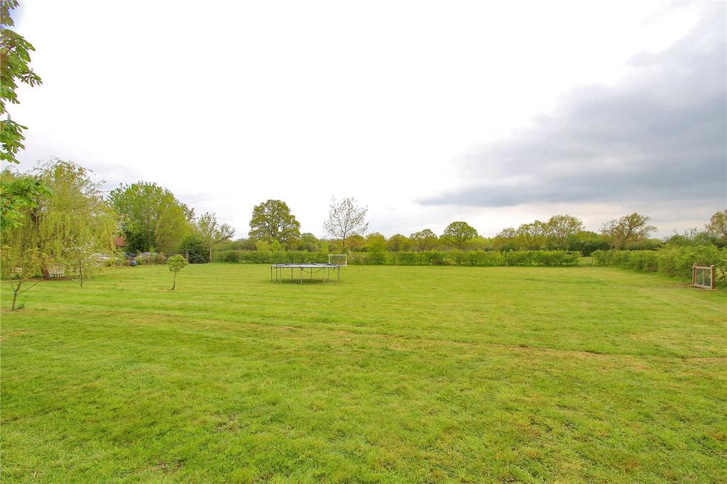 Field