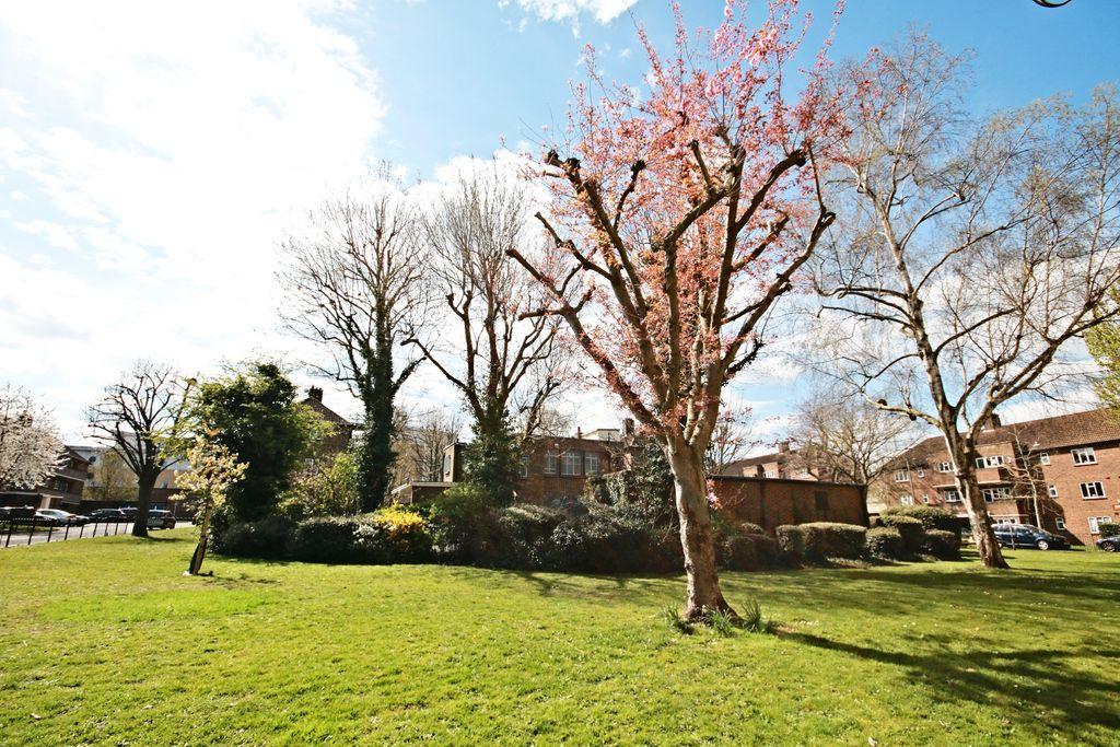View from Property at Back