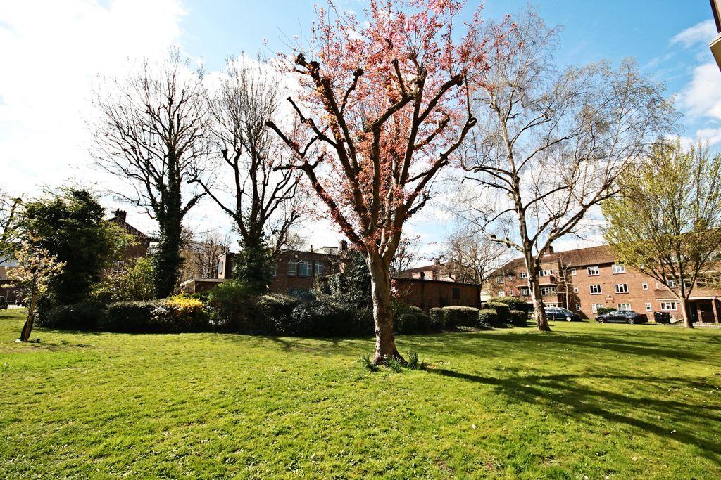 View from Property at Back