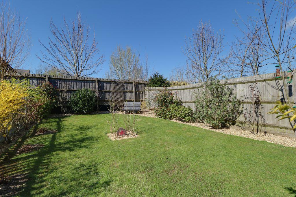 Garden at Back