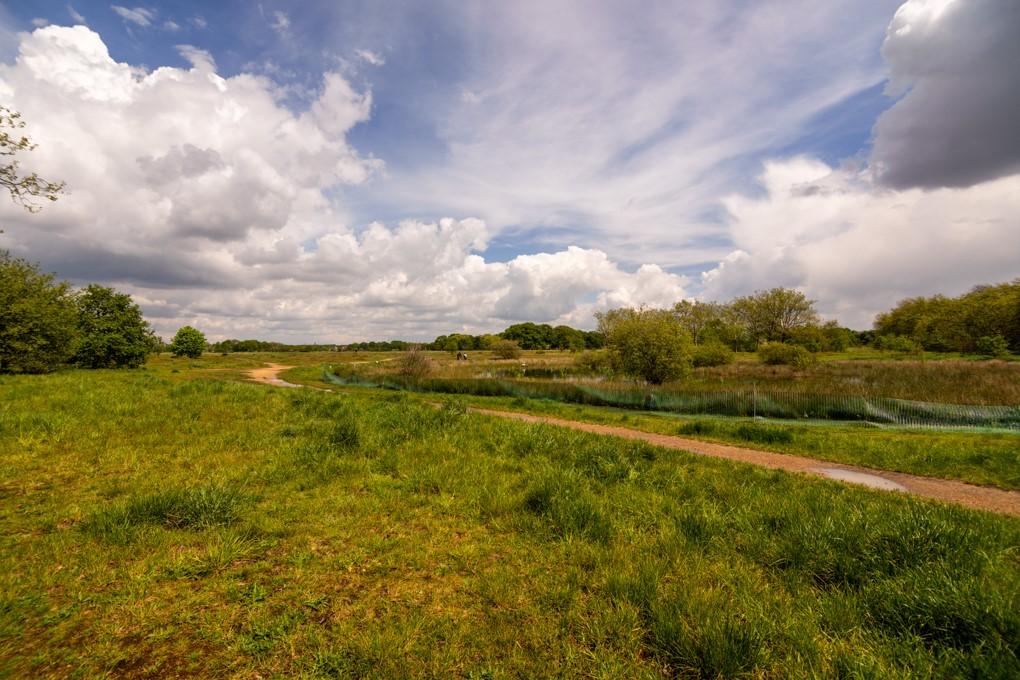 Wanstead Flats