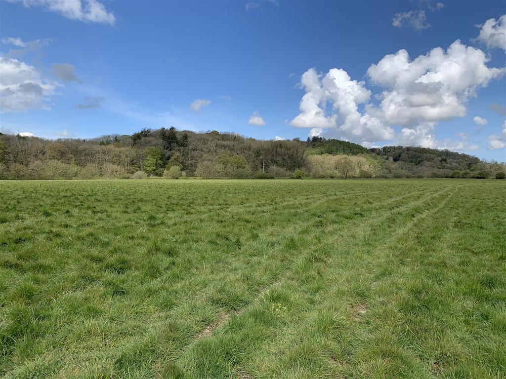 Lot 1 - Court Farm Land 4.JPG