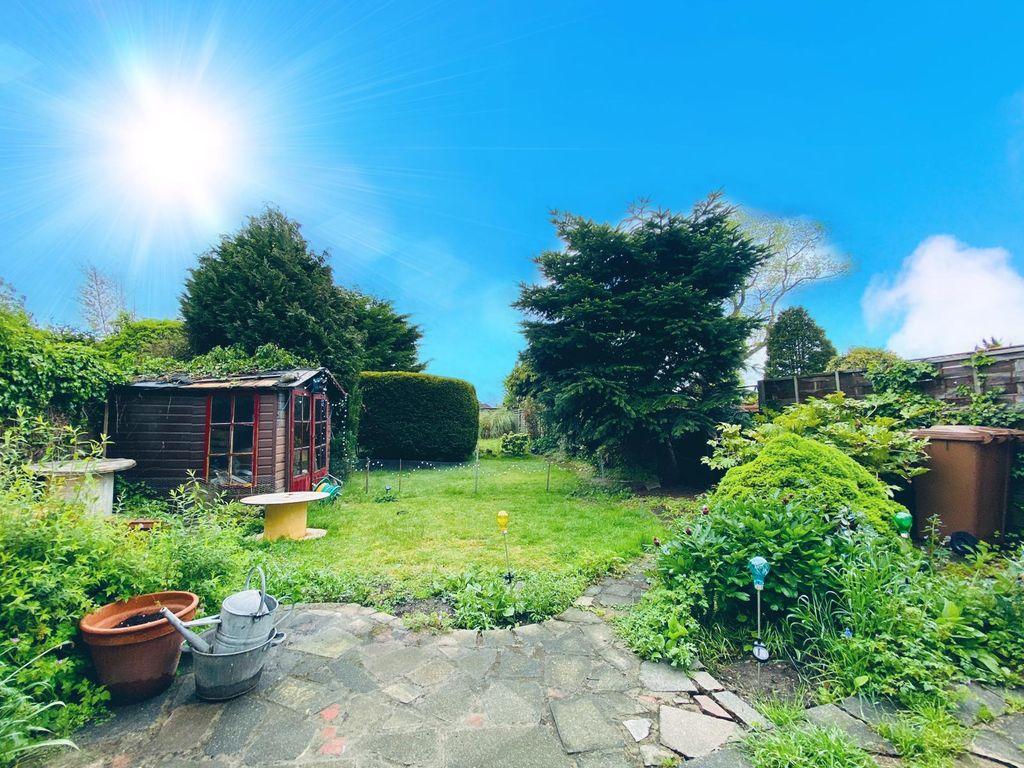 Garden at Back